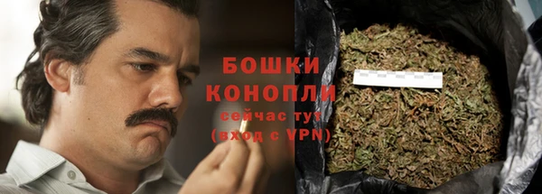 мет Бородино