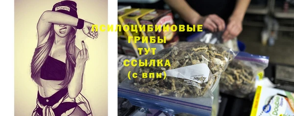мет Бородино
