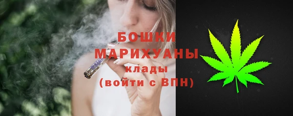 винт Бронницы