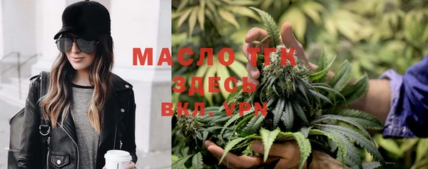 мет Бородино