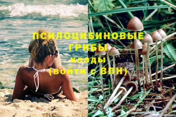 PSILOCYBIN Верхний Тагил