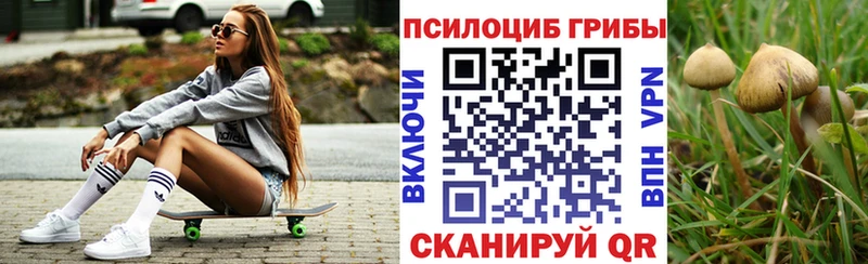 хочу   Кингисепп  Галлюциногенные грибы мицелий 